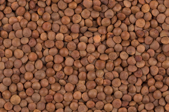<strong>图片棕色</strong>（的）小扁豆在平表面为背景