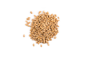 小麦粮食白色拼写粮食丁克尔小麦孤立的白色背景