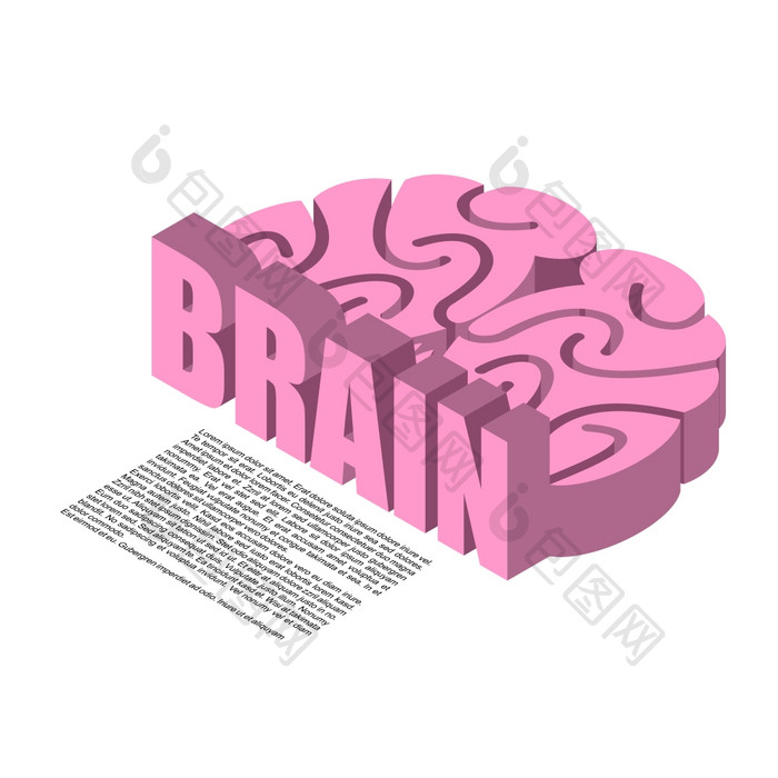 大脑结构infographics大脑头疼人类皮质