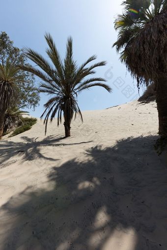 huacachina<strong>绿洲</strong>沙漠沙子沙丘附近的<strong>城市</strong>Ica秘鲁