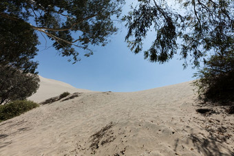 huacachina<strong>绿洲</strong>沙漠沙子沙丘附近的<strong>城市</strong>Ica秘鲁