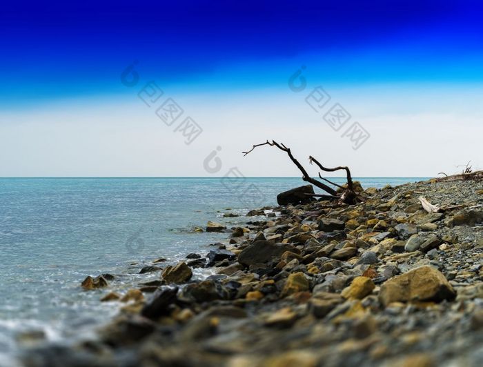 水平生动的干树树干岩石海洋海滩背景背景水平生动的干树树干岩石海洋海滩背景