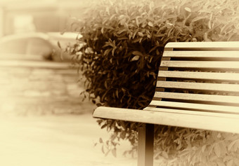 简单的公园板凳上挪威乌贼背景简单的公园板凳上挪威乌贼背景