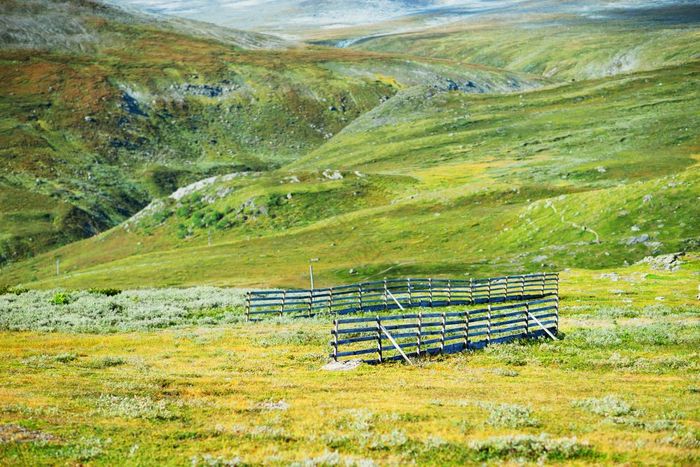 挪威栅栏山景观挪威栅栏山景观