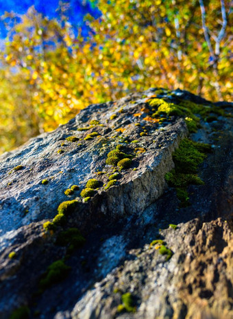 垂直充满活力的挪威莫斯岩石自然散景背景背景垂直充满活力的挪威莫斯岩石自然散景背景巴克
