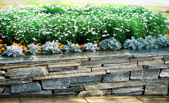 砖石头栅栏与花背景砖石头栅栏与花背景