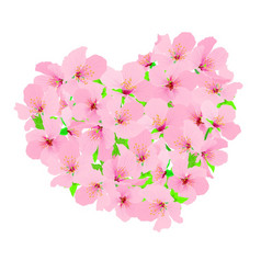 粉红色的樱桃开花心形状插图孤立的白色背景快乐情人节rsquo一天