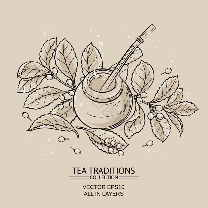 伴侣茶葫芦和灯泡和耶尔巴伴侣植物插图与伴图片