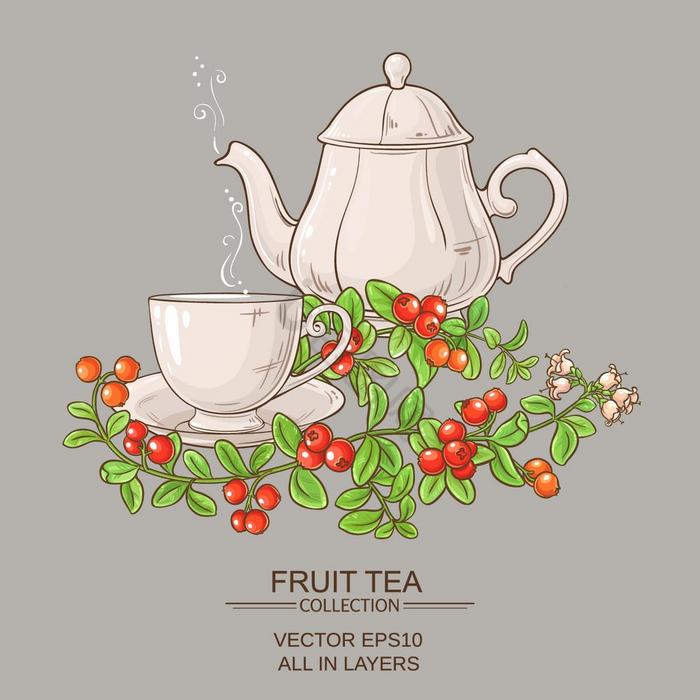 蔓越莓茶杯和茶壶蔓越莓杯茶和茶壶插图图片