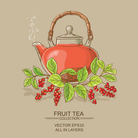 五味子属茶插图五味子属茶茶壶颜色