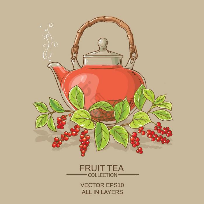 五味子属茶插图五味子属茶茶壶颜色图片