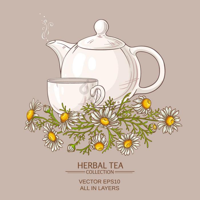 洋甘菊茶插图杯洋甘菊茶和茶壶颜色图片