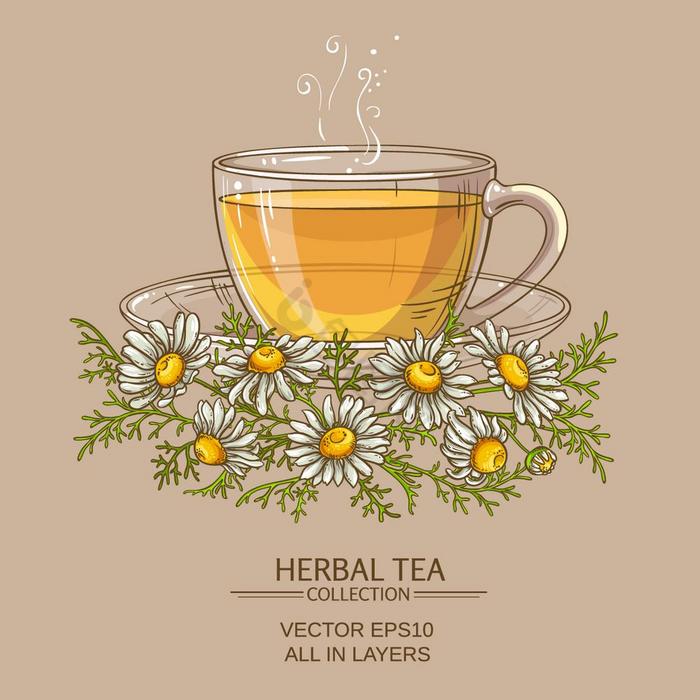 杯洋甘菊茶杯洋甘菊茶颜色图片