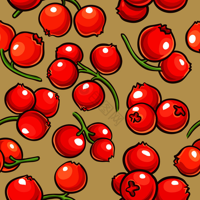 蔓越莓浆果向量模式颜色蔓越莓浆果向量模式图片