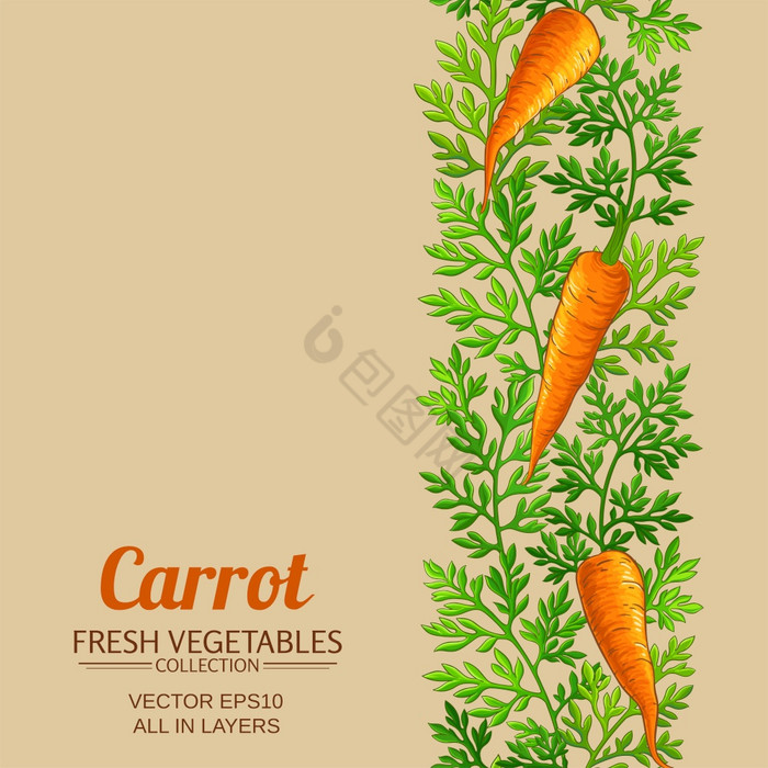 胡萝卜向量颜色胡萝卜颜色图片
