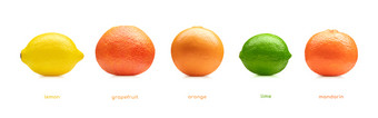 柠檬石灰橙色<strong>普通话</strong>葡萄柚水果集孤立的白色背景柠檬石灰橙色<strong>普通话</strong>葡萄柚水果