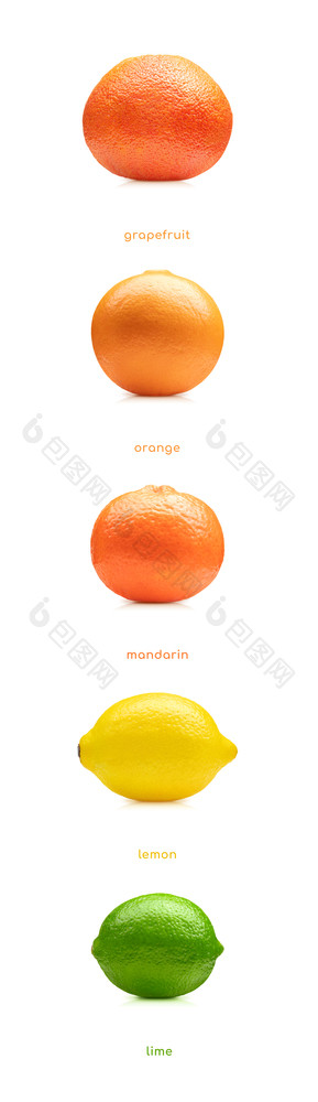柠檬石灰橙色普通话葡萄柚水果集孤立的白色背景柠檬石灰橙色普通话葡萄柚水果