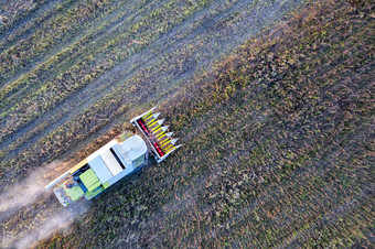 收割机机工作的场结合收割机农业机收获<strong>向日葵</strong>场农业空中视图从以上
