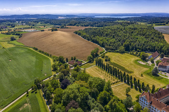 空中视图从无人机美丽的新鲜的绿色培养字段德国