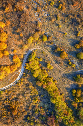 空中前视图从无人机公园秋天景观与树色彩斑斓的草坪上和<strong>走路</strong>径垂直视图