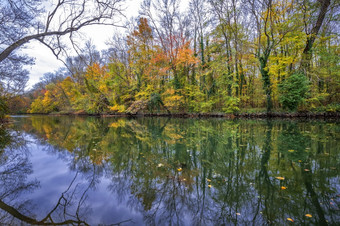 令人惊异的秋天场景河森林与典型的淡黄色的颜色秋天