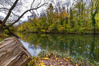 令人惊异的秋天场景河森林与典型的淡黄色的颜色秋天