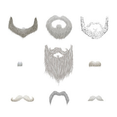 集详细的灰色的胡子和胡子孤立的白色集详细的灰色的胡子和胡子白色