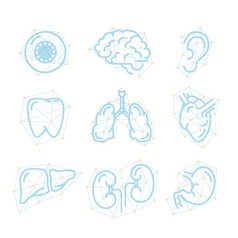 集未来主义的大纲图标人类器官孤立的白色未来主义的大纲图标人类器官白色