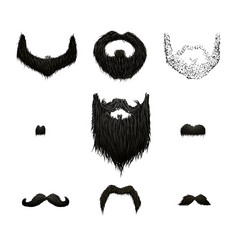 集详细的黑色的胡子和胡子孤立的白色集详细的黑色的胡子和胡子白色