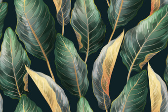 向量古董热带无缝的模式植物打印与异国情调的叶子丛林背景为纺织网络包装纸包装卡片