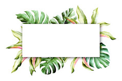 手画水彩热带自然背景黄金和绿色热带棕榈叶子热带背景邀请横幅海报摩天观景轮孤立的框架与Copyspace