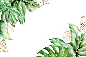 水彩热带自然背景黄金和绿色热带棕榈叶子热带背景邀请横幅海报摩天观景轮孤立的框架与Copyspace