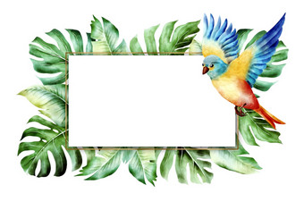 热带异国情调的水彩花插图框架与黄金和绿色棕榈叶子为婚礼静止的问候壁纸时尚背景水彩鸟和热带植物孤立的框架与Copyspace