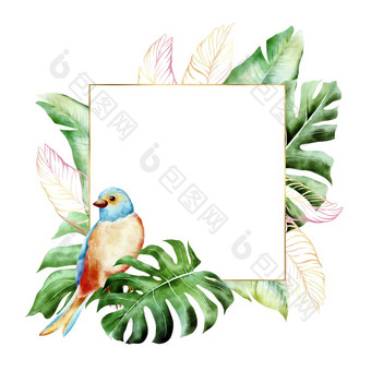 热带异国情调的水彩花插图框架与黄金和绿色棕榈叶子为婚礼静止的问候壁纸时尚背景化妆品水彩鸟和热带植物孤立的框架与Copyspace