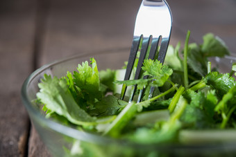 新鲜的香菜沙拉香菜与黄瓜沙拉健康的食物概念新鲜的香菜沙拉香菜与黄瓜沙拉健康的喷火