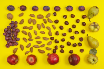秋天设置有机壳牌坚果和水果黄色的背景