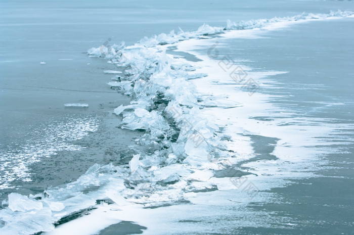 冬天雪背景装饰与玫瑰臀部浆果安排红色的浆果雪