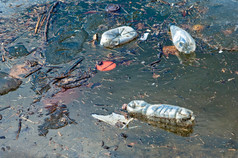 浪费垃圾和垃圾提出被污染的河