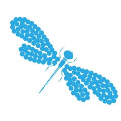 蜻蜓轮廓卡通图形插图豆娘孤立的与黑色的和白色翅膀草图昆虫蜻蜓蜻蜓蓝色的轮廓卡通图形插图豆娘孤立的与淡蓝色和白色翅膀草图昆虫