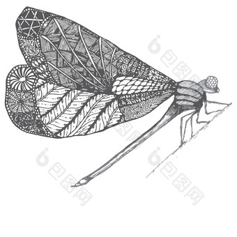 dragonflie手画图形插图黑色的和<strong>白</strong>色和灰色的颜色涂鸦图像<strong>蜻蜓</strong>轮廓卡通图形手绘插图豆娘孤立的与黑色的和<strong>白</strong>色翅膀草图昆虫<strong>蜻蜓</strong>昆虫插图
