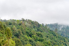 美丽的自然景观绿色森林和山峰克鲁特Chu)丁字裤看从距离局域网欣茹/著名的自然景点府欣荣克拉国家公园phitsanulok泰国克鲁特Chu)丁字裤峰看从的距离