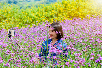 女人旅游是采取自拍与智能手机紫色的花场<strong>马鞭草</strong>属博纳里恩西斯purpletop<strong>马鞭草</strong>下的阳光考县呵呵碧差汶泰国女人是采取自拍<strong>马鞭草</strong>属花字段