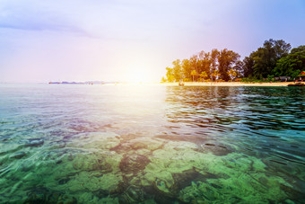 美丽的自然景<strong>观色</strong>彩斑斓的的阳光的日出夏天在的清晰的海看到的珊瑚礁比奇树度假胜地北点海滩KOH利普岛塔鲁陶satun泰国日出在的海北点海滩KOH利普泰国