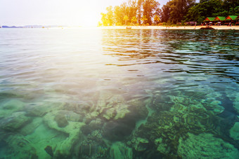 美丽的自然景观色彩斑斓的的阳光的日出夏天在的清晰的海看到的珊瑚礁比奇树度假胜地北点海滩KOH利普岛塔鲁陶satun泰国日出在的海北点海滩KOH利普泰国