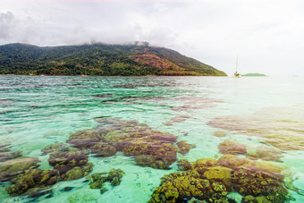 美丽的自然景观清晰的绿色海水和浅珊瑚珊瑚礁KOH利普块岛背景下早....阳光在日出夏天塔鲁陶国家公园satun泰国清晰的绿色海KOH利普岛在日出泰国