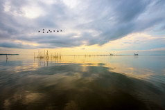 美丽的自然景观日出在宋卡湖与平静水表面反映的金光和明亮的天空而群鸟是飞行出pakpra运河博他仑泰国日出在宋卡湖反映的金光天空泰国