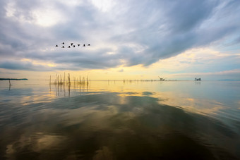 美丽的自然景观日出在宋卡湖与平静水表面反映的金光和明亮的天空而群鸟是飞行出pakpra运河博他仑泰国日出在宋卡湖反映的金光天空泰国