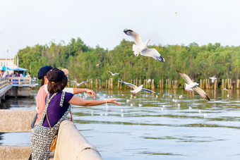 女人和女孩亚洲家庭旅游妈妈。和女儿是快乐有趣的<strong>喂养</strong>的海鸥飞行以上的海旅行亚洲bangpu娱乐中心著名的吸引力samutprakan泰国妈妈。和女儿享受<strong>喂养</strong>的海鸥