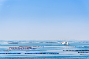美丽的自然景观的蓝色的海下的蓝色的天空和浮动浮标为<strong>贻贝</strong>佩尔纳维里迪斯农业船和沿海钓鱼法KOH阿来岛chon武里府泰国<strong>贻贝</strong>佩尔纳维里迪斯农业泰国