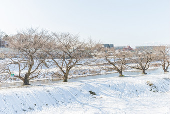 白色雪对清晰的天空公共公园埼玉日本